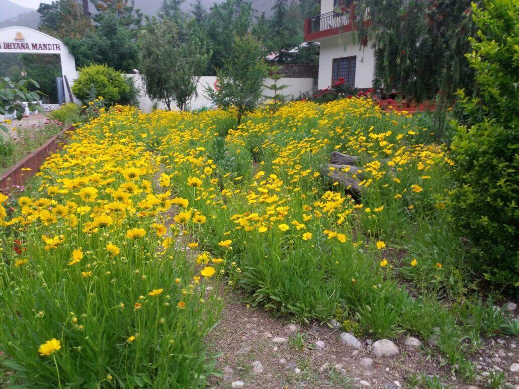 Готель Anand Ganga Uttarkashi Екстер'єр фото